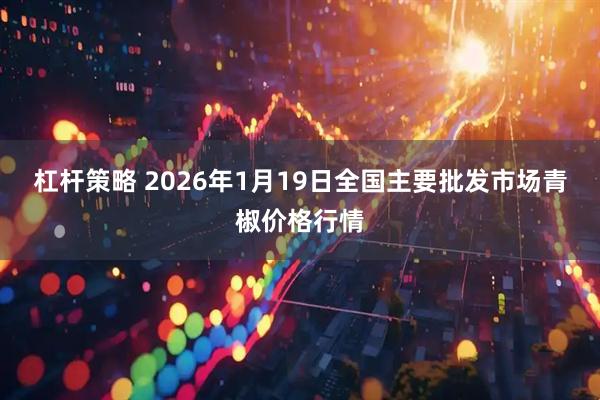 杠杆策略 2026年1月19日全国主要批发市场青椒价格行情