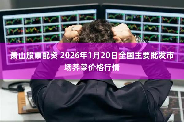 萧山股票配资 2026年1月20日全国主要批发市场荠菜价格行情