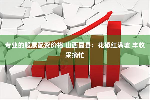 专业的股票配资价格 山西夏县：花椒红满坡 丰收采摘忙